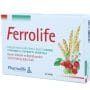 Ferrolife